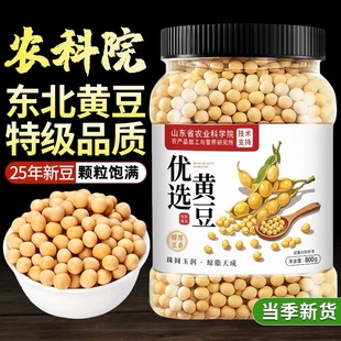 精选东北黄豆25年新豆老品种饱满大豆打豆浆发豆芽专用官方旗舰店