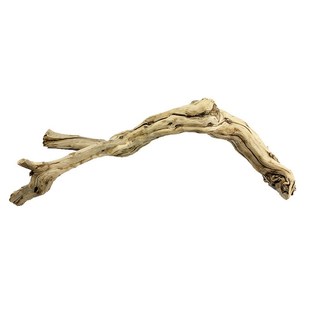 霸王藤木一木成景爬宠攀爬支架天然藤木造景蜥蜴守宫树蛙蛇盘龙木