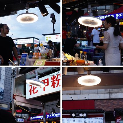 2024新款LED多功能风扇灯E27螺口带遥控家用调光调色照明吊扇灯