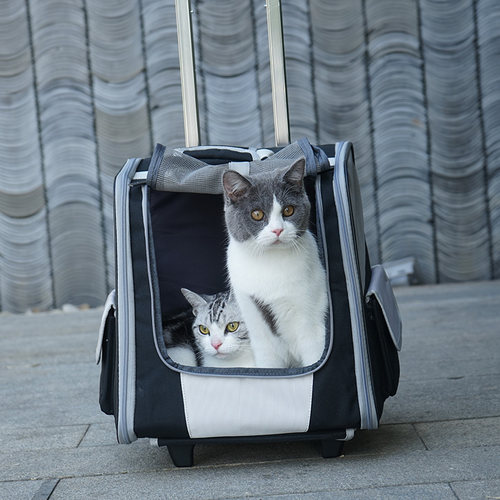 两用猫包拉杆双肩包猫包外出便携猫背包猫咪外出包透气宠物拉杆箱