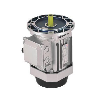 YE2-100WL2川-4B5-3K赛孚YE2-100L特新菱铝山微型壳三相异步电动