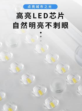 市电户透镜le5d路灯头庭院外花园防水道路路建设SL-LD3020w一体道