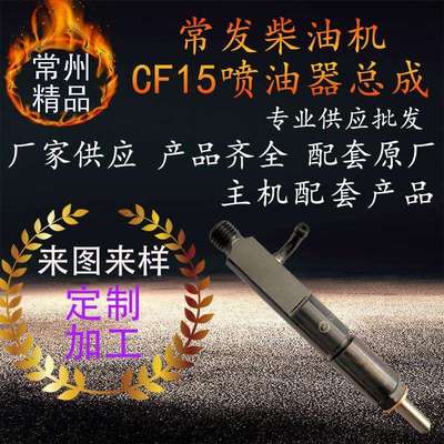 常州单杠水冷常发柴油机喷油器总成cf15柴油机喷油咀总成配件嘴