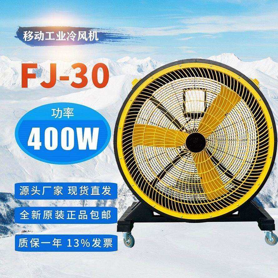 工业移动冷风扇FJ-30大型工厂房商用养殖场大棚环保冷风扇降温