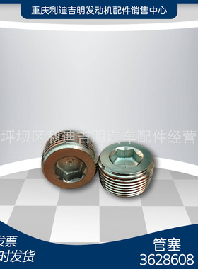 k19 k38发电机组配件 Nt855 发动机零件 管塞3628608