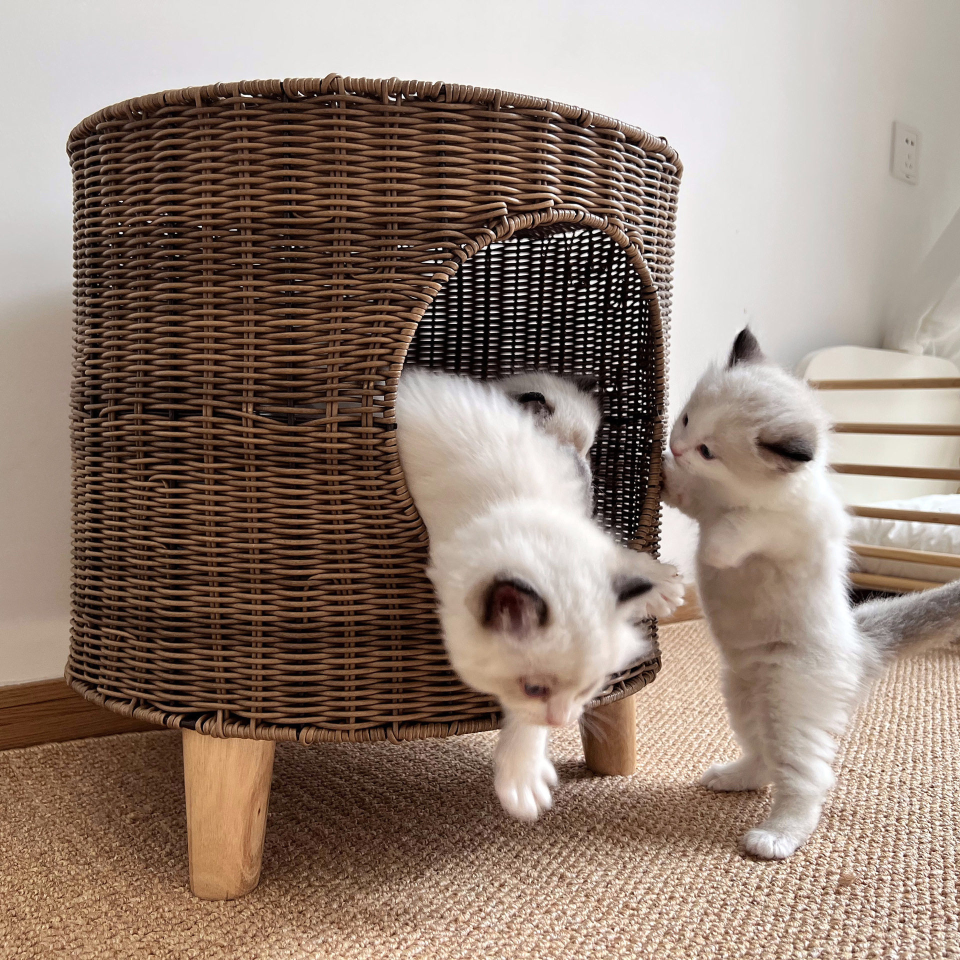 藤编猫窝封闭式猫屋猫爬架别墅可拆洗猫笼狗窝夏季猫房子猫床凉席