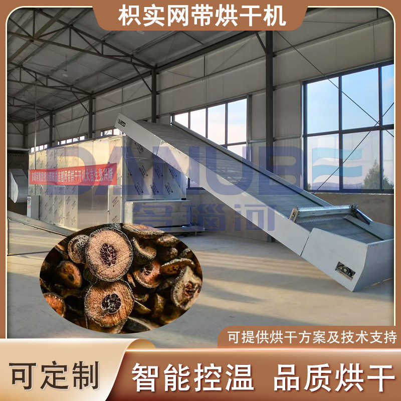 网带铁篱寨臭橘烘干设备 枸橘酸橙清洗切片烘干生产线 枳实烘干机