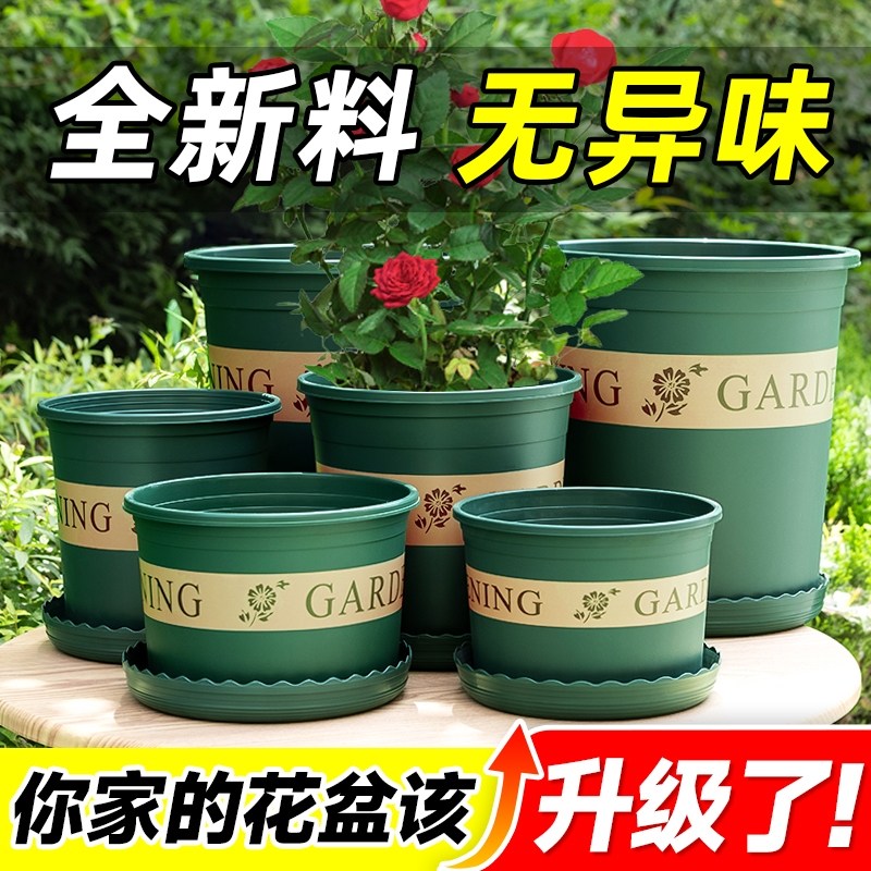 速发5种菜青山厚仑盆台加仑三代加加番茄种植箱菜园专用盆栽盆