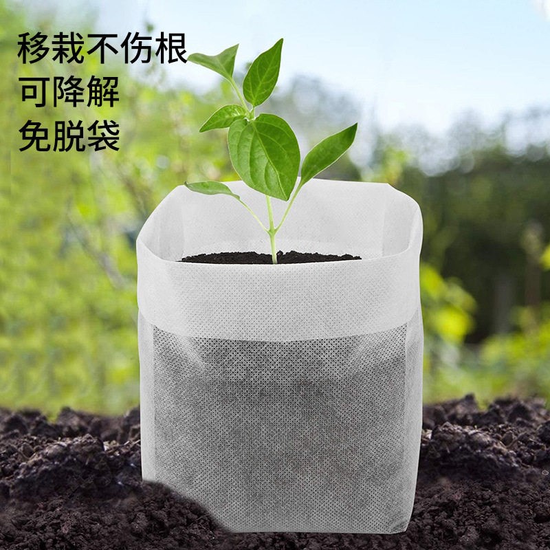 速发无纺布育苗袋可降解种植袋脱花卉种植袋园林苗木育苗袋小型