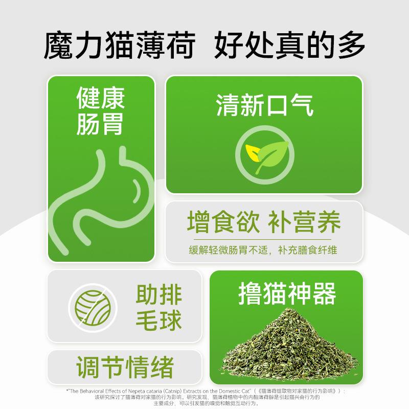 直销新款猫咪零食大罐猫薄荷幼猫可食用去毛球猫草成年猫咪宠物宠