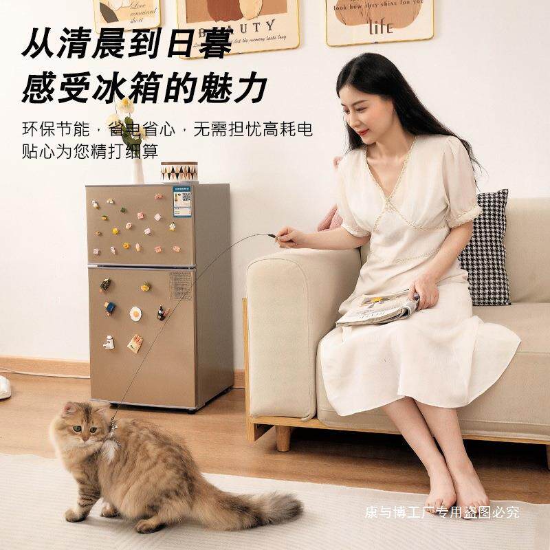 一级能效家冰用小冰箱AIZ小型宿电舍房用迷你省箱租冰箱家用小型