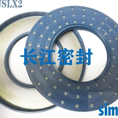 德国CFW骨架油封BAU6SLX2-135-170-1KKL2110-1200-125200-153/12