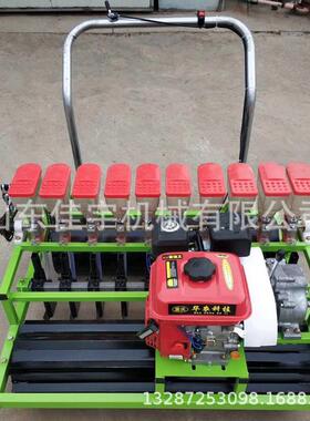 手式谷精播机家用汽油子菜籽播种机6SIJ行推茴蔬香点播机