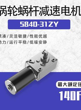 5840-35840-31Z1力Y直流减速电机涡轮蜗杆可电调速大扭微型动机Z1