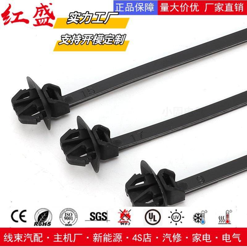 126EBF-0088/PP910432椭圆孔12*7mm插销式扎带16*160/mm/X23/2500