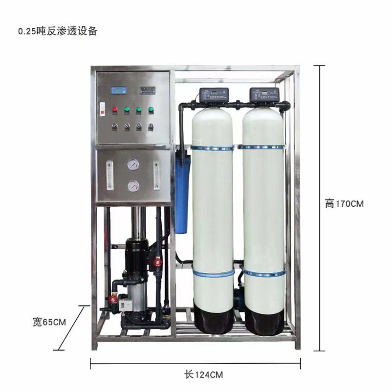 0.25吨/时反渗透净水站框架机