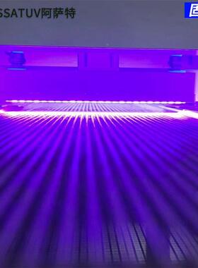 LEU固化灯强光紫DDF外线LEDDUV固化设V备395nm/365nm波段低温光固