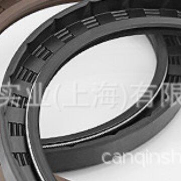 FPPARIS密封件橡胶圈骨架油封