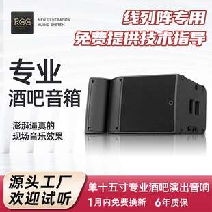 house 单十五寸线阵列音响酒吧live 户外演出 阿酷司同款 A15