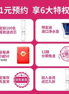 BWT净饮机家用台式直饮净水加热一体机过滤净水器反渗透畅享
