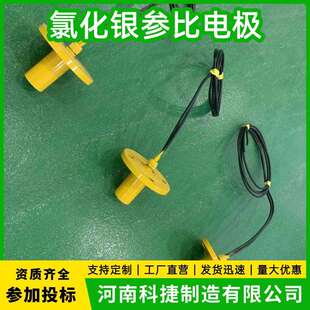 银/氯化银参比电极 海水用固态Ag/Agcl银参考测试电极