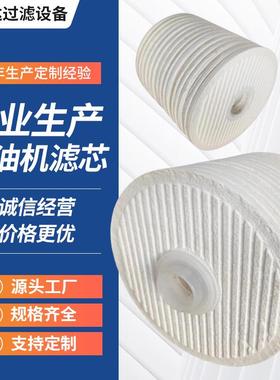 厂家国产替代CJC离线过滤器滤芯B27/27碟片式油滤PA5601301