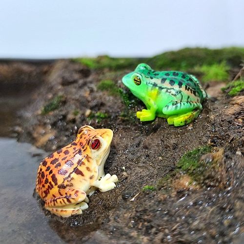 速发蝌青景小蚪动物模型摆件微蛙观鱼缸花盆园艺造景装饰沙盘