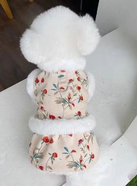 速发衣服秋冬新款加绒碎年新泰裙子年迪比熊猫咪过花牵引马甲