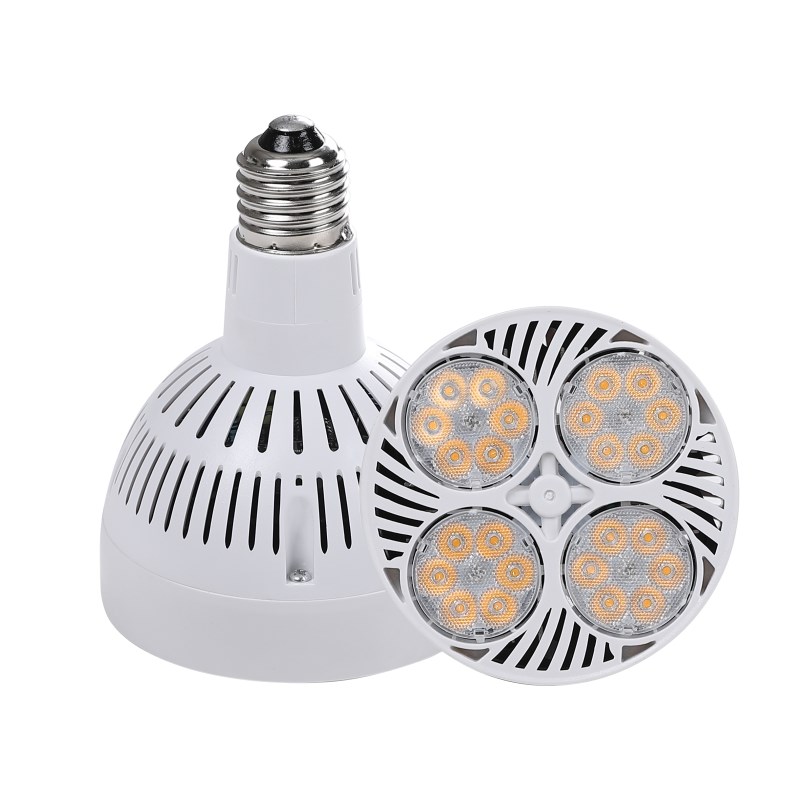 回龙 澳浦led射灯par30 p30帕泡灯泡轨道灯 35W  45w灯泡成套灯架