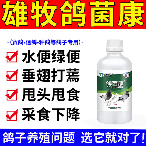 雄牧鸽菌康正品赛信幼鸽子专用药鹦鹉腹拉泻稀水绿便歪脖子甩头食