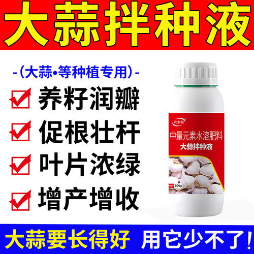 大蒜拌种液正品农家自东北紫红皮大蒜种植苗润瓣增产增收促根壮杆