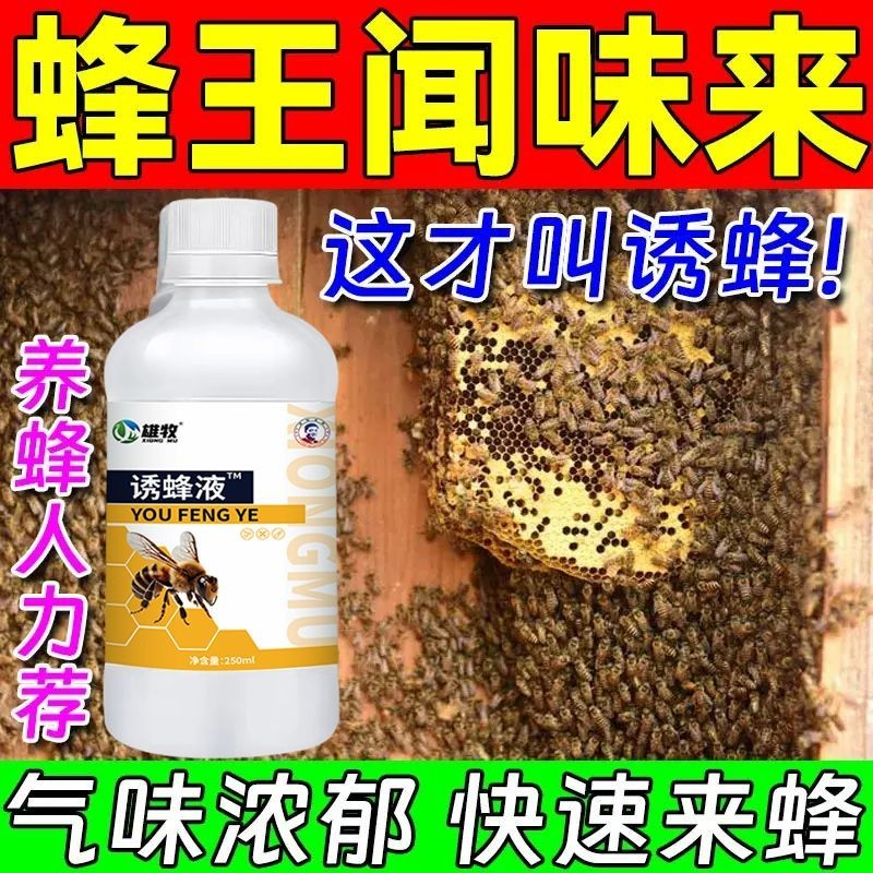 雄牧强效诱蜂液招蜂水专用神器新手野外捕捉引中马胡蜜蜂王信息素