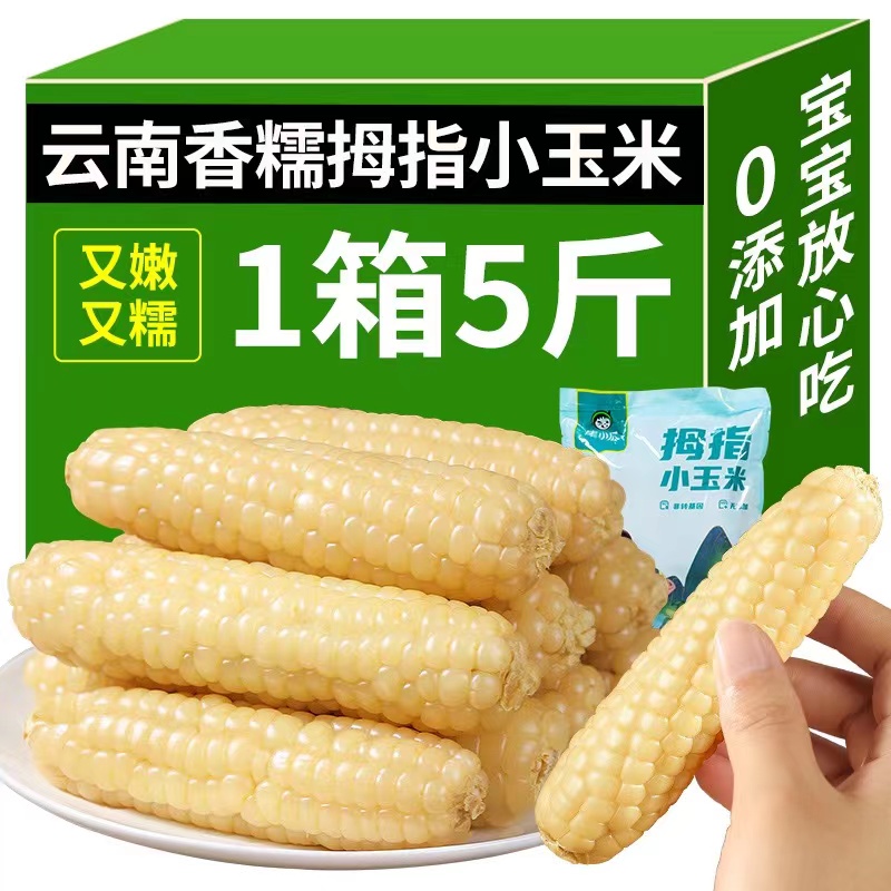 云南西双版纳拇指小玉米新鲜傣家香糯小手指迷你袖珍儿童玉米
