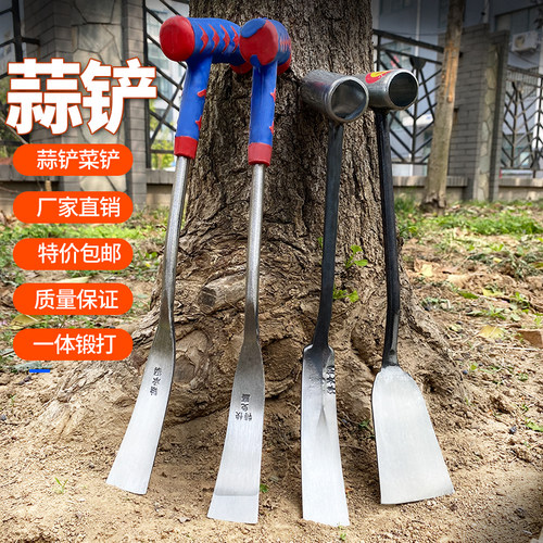 锰钢大蒜铲园艺挖刨蒜户外挖菜铲弹簧钢一体铁质花铲铁制小铲子