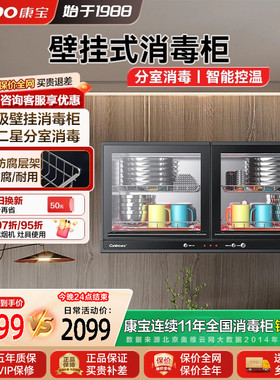 康宝壁挂式AYX家商两用小型消毒柜幼儿园学校专用高温二星级消毒