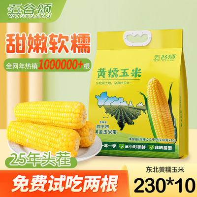 五谷颂25年新采东北大黏苞米10根