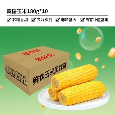 五谷颂东北黄糯玉米软糯香甜