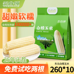 25年东北新玉米非转基因鲜糯嫩甜玉米棒粘糯拉丝早餐真空包装代餐