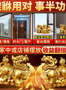 铜貔貅招财摆件一对公母纯黄铜全黄铜皮丘Q貔犰客厅店铺办公室