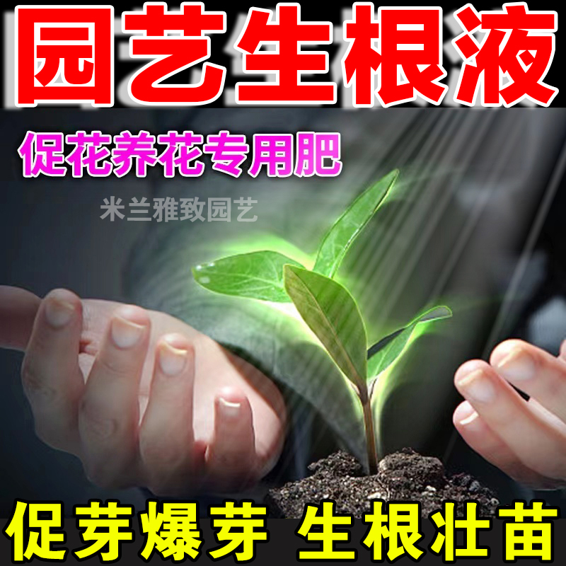 强力生根剂大小果树木移栽种植快速生根复活营养液发根壮苗剂