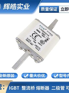 170M3471170M3472熔断器熔断器配件保险丝电子元器件