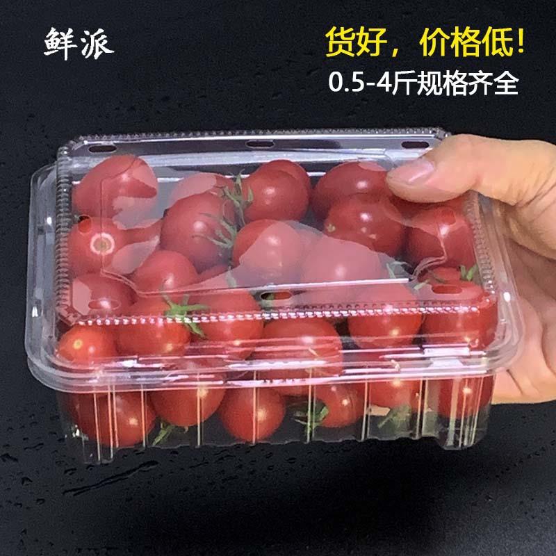 一次性水果盒翻盖草莓盒透明塑料西瓜切打包盒500克菠萝蜜果切盒