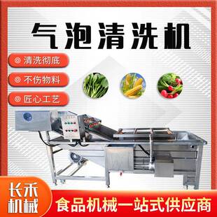 大型商用果蔬清洗设备气泡清洗机净菜加工水果蔬菜菌菇预制菜