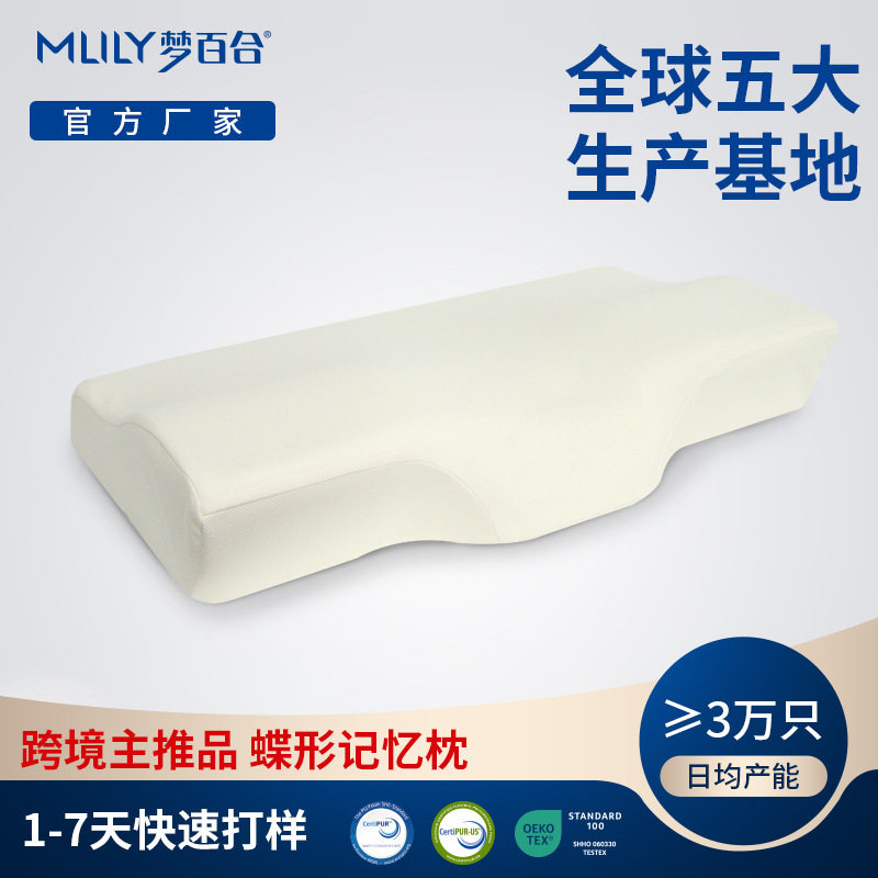 跨境款蝶形枕头舒适太空记忆棉枕头直销新品