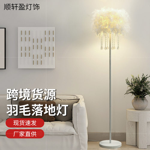 跨境简约落地灯客厅灯北欧风卧室书房羽毛灯中山家装灯饰落地台灯