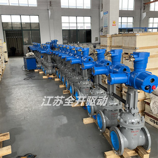 电动闸阀 ZJK941H 一体式 DN80矿用隔爆兼本安 带485通讯协议 100C