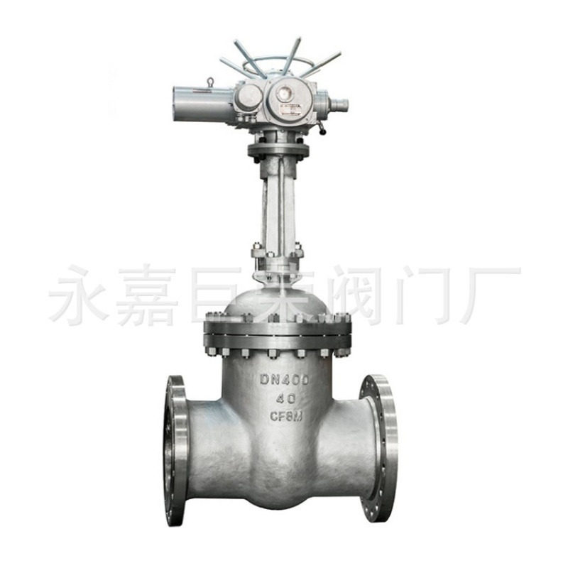 Z941H-16C DN65电动法兰式闸阀 污水管道明杆电动闸阀浙江南高