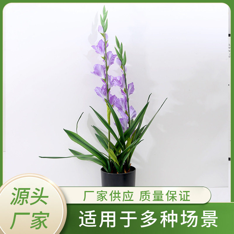 亚马逊仿真花大剑兰 兰花家居装饰壁挂仿真创意绿植厂家批发