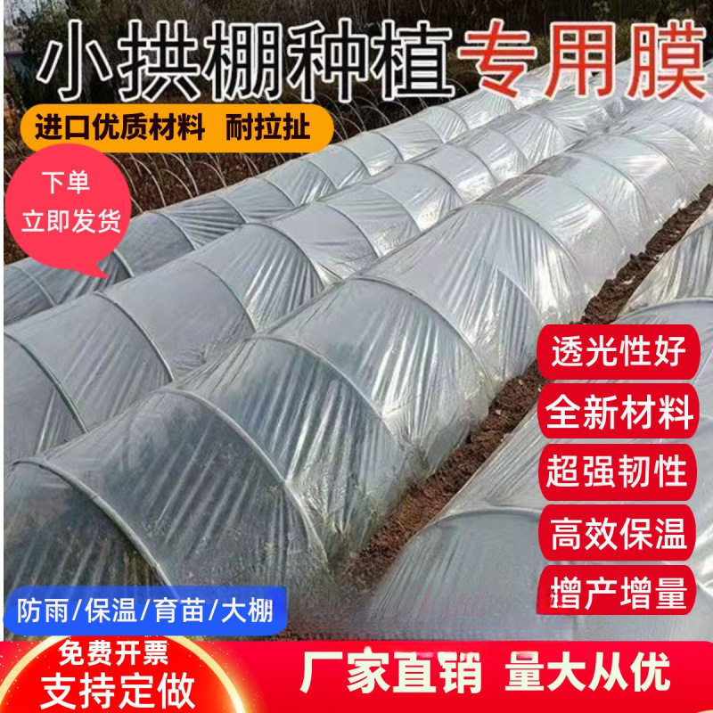 小拱棚大棚二膜透明塑料薄膜塑料布地膜农用育苗防寒保温种其他
