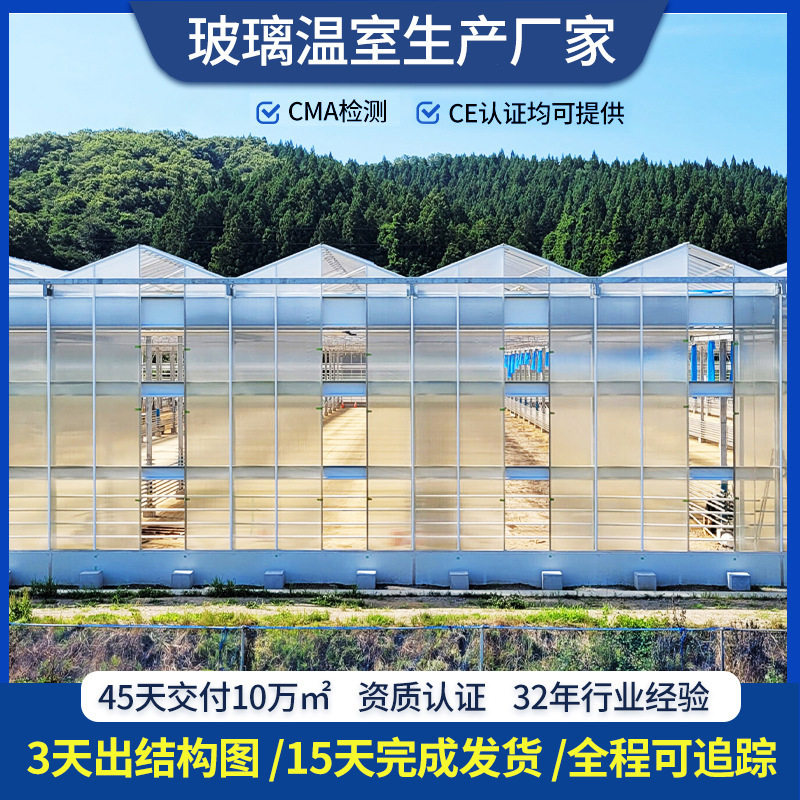 玻璃大棚花卉展览蔬菜育苗大棚钢管骨架连栋观光智能玻璃温室大棚